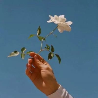傲剑飞仙游戏下载